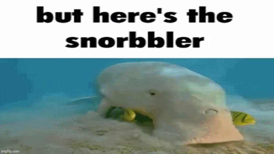 image tagged in snorbbler | made w/ Imgflip meme maker