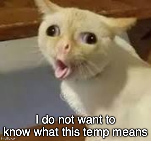 please don't explain | I do not want to know what this temp means | image tagged in cat gaging | made w/ Imgflip meme maker
