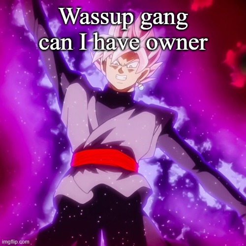 (Ada: no, you don't just ask) | Wassup gang can I have owner | image tagged in ssr black 2 | made w/ Imgflip meme maker