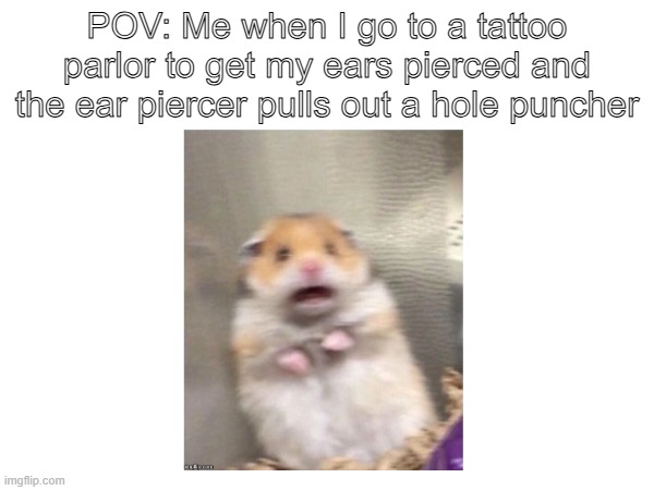 Ear piercing | POV: Me when I go to a tattoo parlor to get my ears pierced and the ear piercer pulls out a hole puncher | image tagged in scared hamster | made w/ Imgflip meme maker