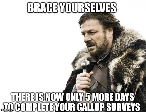 Brace yourselves there is only 5 days left | BRACE YOURSELVES; THERE IS NOW ONLY 5 MORE DAYS TO COMPLETE YOUR GALLUP SURVEYS | image tagged in memes,brace yourselves x is coming,funny,hospital,military,game of thrones | made w/ Imgflip meme maker