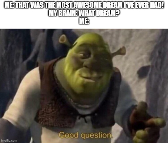 And the nightmares always stay in my long-term memory! >:( | ME: THAT WAS THE MOST AWESOME DREAM I'VE EVER HAD!
MY BRAIN: WHAT DREAM?
ME: | image tagged in shrek good question | made w/ Imgflip meme maker