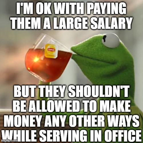But That's None Of My Business Meme | I'M OK WITH PAYING THEM A LARGE SALARY BUT THEY SHOULDN'T BE ALLOWED TO MAKE MONEY ANY OTHER WAYS WHILE SERVING IN OFFICE | image tagged in memes,but that's none of my business,kermit the frog | made w/ Imgflip meme maker