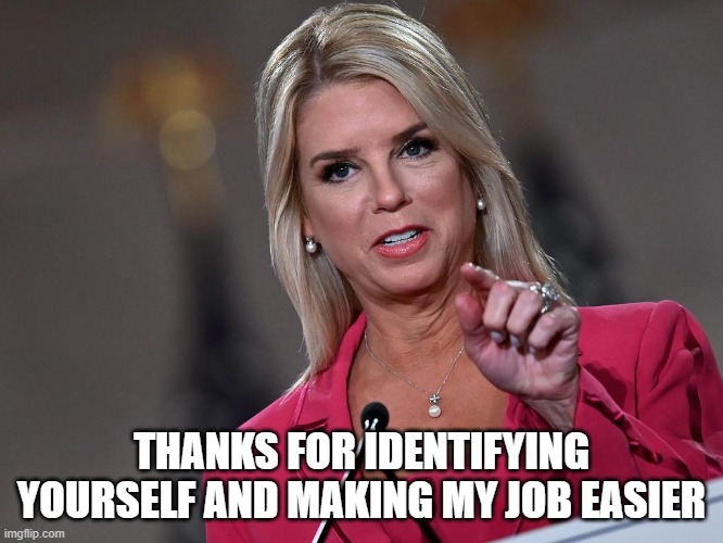 Pam Bondi | THANKS FOR IDENTIFYING YOURSELF AND MAKING MY JOB EASIER | image tagged in pam bondi | made w/ Imgflip meme maker