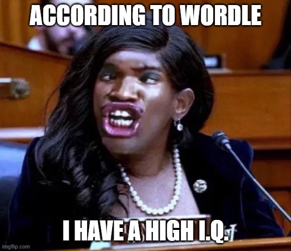 Rep. Jasmine Crockett | ACCORDING TO WORDLE I HAVE A HIGH I.Q. | image tagged in rep jasmine crockett | made w/ Imgflip meme maker
