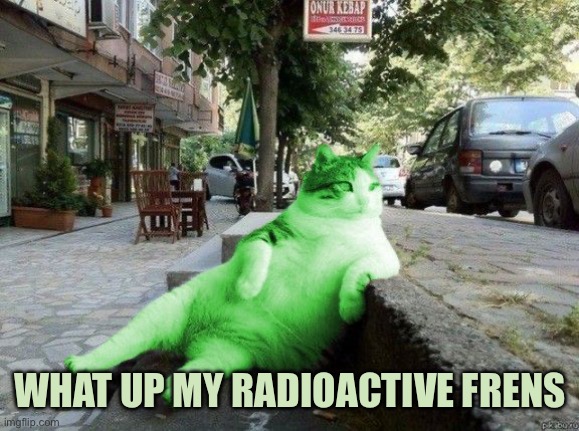 RayCat relaxing | WHAT UP MY RADIOACTIVE FRENS | image tagged in raycat relaxing | made w/ Imgflip meme maker