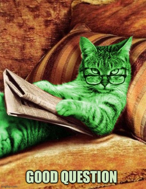 Factual RayCat | GOOD QUESTION | image tagged in factual raycat | made w/ Imgflip meme maker