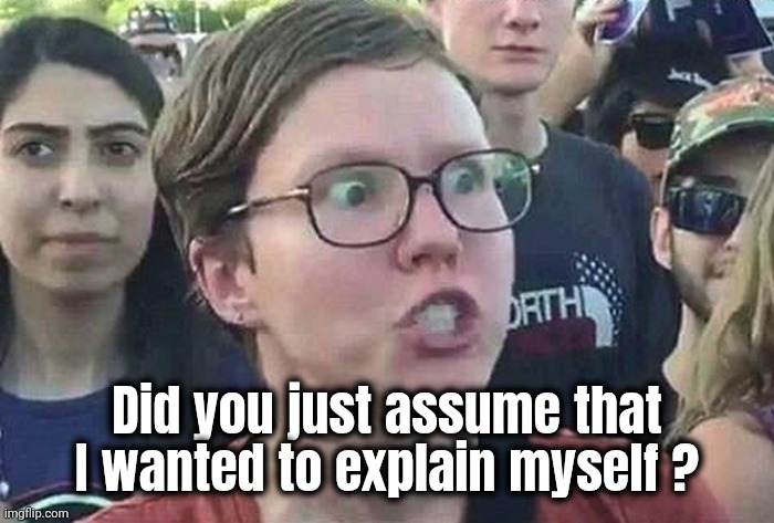 Triggered Liberal | Did you just assume that I wanted to explain myself ? | image tagged in triggered liberal | made w/ Imgflip meme maker