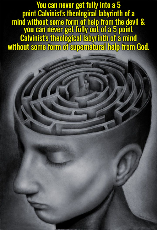 Theological Labyrinth Mind | You can never get fully into a 5 point Calvinist's theological labyrinth of a mind without some form of help from the devil &; you can never get fully out of a 5 point Calvinist's theological labyrinth of a mind without some form of supernatural help from God. | image tagged in calvinism,arminian,molinism,reformed theology 5 point calvinists,ai brainwashed puppet gnostics | made w/ Imgflip meme maker
