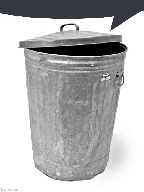 Trash Can | image tagged in trash can | made w/ Imgflip meme maker