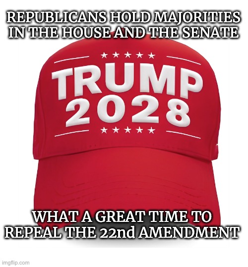 The Meltdowns Would Be Majestic! | REPUBLICANS HOLD MAJORITIES IN THE HOUSE AND THE SENATE; WHAT A GREAT TIME TO REPEAL THE 22nd AMENDMENT | image tagged in majority rules,22nd amendment | made w/ Imgflip meme maker