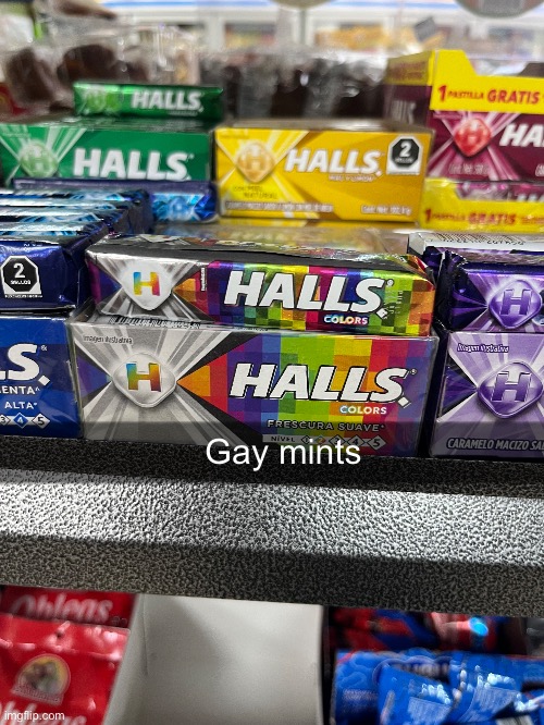 Gay mints | Gay mints | image tagged in msmg,gay | made w/ Imgflip meme maker