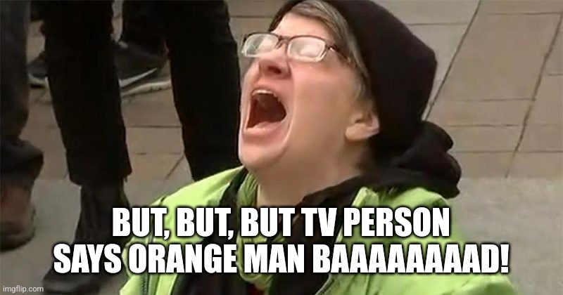 crying liberal | BUT, BUT, BUT TV PERSON SAYS ORANGE MAN BAAAAAAAAD! | image tagged in crying liberal | made w/ Imgflip meme maker