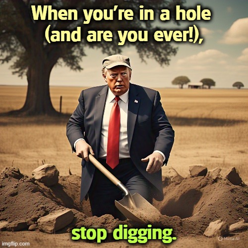 When you're in a hole 
(and are you ever!), stop digging. | image tagged in trump,hole,failure,mistakes,disaster,fool | made w/ Imgflip meme maker