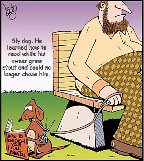 Franklin Lee's amazing dog tales. | Sly dog. He learned how to read while his owner grew stout and could no longer chase him. | image tagged in memes,dogs,leash | made w/ Imgflip meme maker