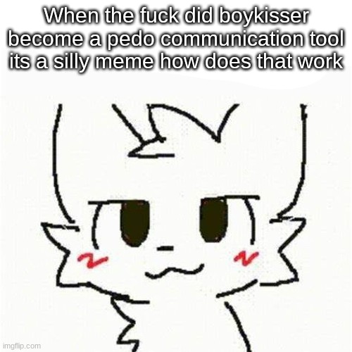 Whos in the right whos in the wrong | When the fuck did boykisser become a pedo communication tool its a silly meme how does that work | image tagged in boykisser | made w/ Imgflip meme maker