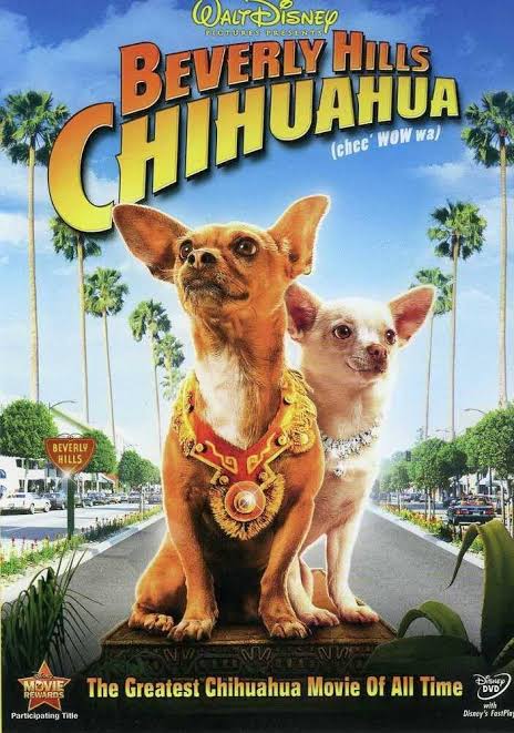 Beverly Hills Chihuahua [Importado] : Drew Barrymore, George Lop Blank Meme Template