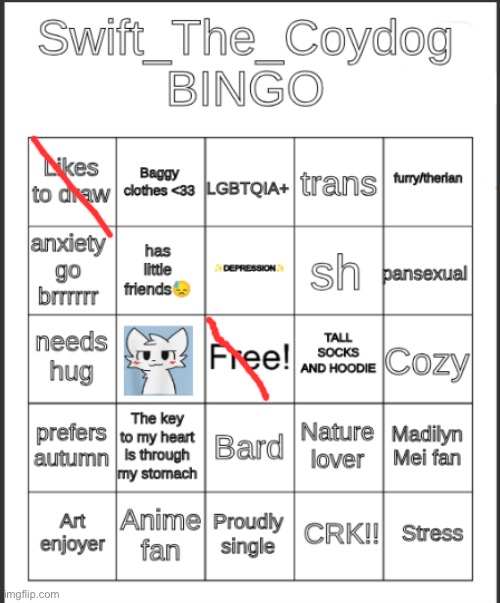 what an upstanding member of society :skull: | image tagged in swift_the_coydog bingo | made w/ Imgflip meme maker