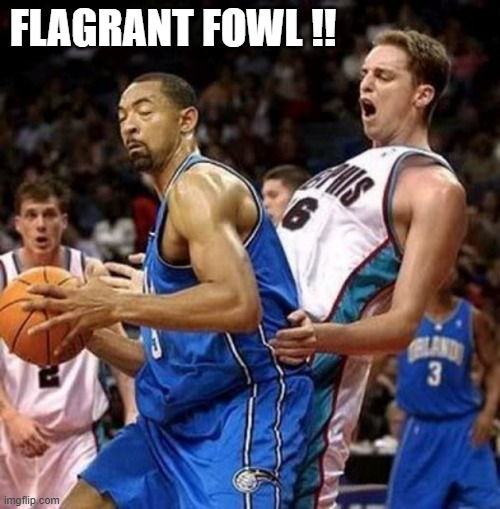 This is what a flagrant foul looks like in the NBA.  - funny - | FLAGRANT FOWL !! | image tagged in sports,basketball,nba,funny,humor | made w/ Imgflip meme maker