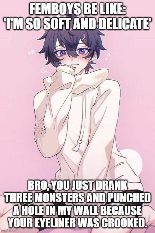 Femboy Memes | FEMBOYS BE LIKE: 'I'M SO SOFT AND DELICATE'; BRO, YOU JUST DRANK THREE MONSTERS AND PUNCHED A HOLE IN MY WALL BECAUSE YOUR EYELINER WAS CROOKED. | image tagged in femboy | made w/ Imgflip meme maker