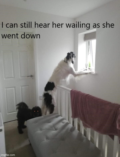 proof that skin walkers aren't real | image tagged in skinwalker | made w/ Imgflip meme maker