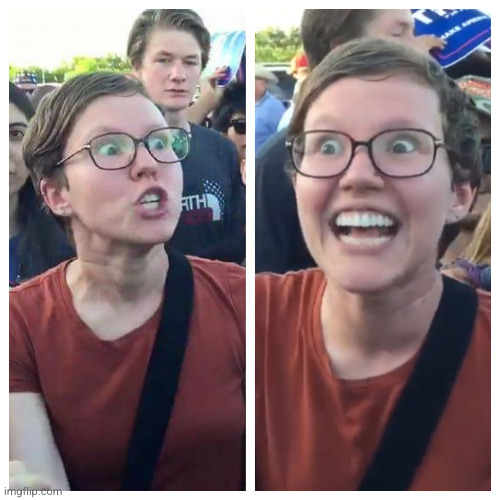 Hypocrite liberal | image tagged in hypocrite liberal | made w/ Imgflip meme maker