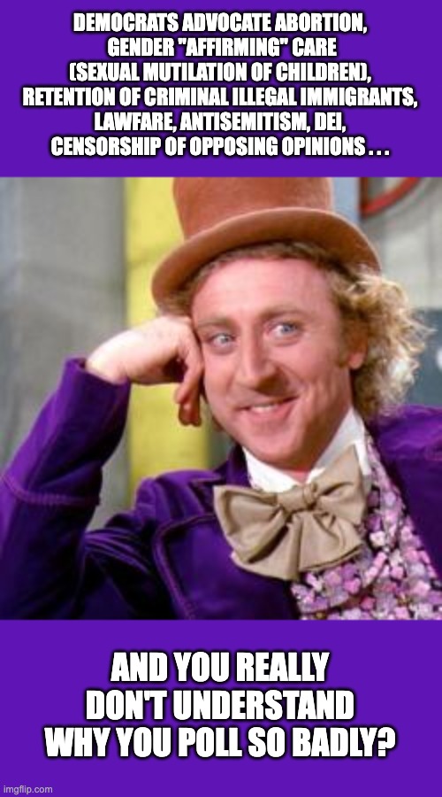 Willy Wonka | DEMOCRATS ADVOCATE ABORTION,
 GENDER "AFFIRMING" CARE
(SEXUAL MUTILATION OF CHILDREN),
RETENTION OF CRIMINAL ILLEGAL IMMIGRANTS,
LAWFARE, ANTISEMITISM, DEI,
CENSORSHIP OF OPPOSING OPINIONS . . . AND YOU REALLY DON'T UNDERSTAND WHY YOU POLL SO BADLY? | image tagged in willy wonka | made w/ Imgflip meme maker