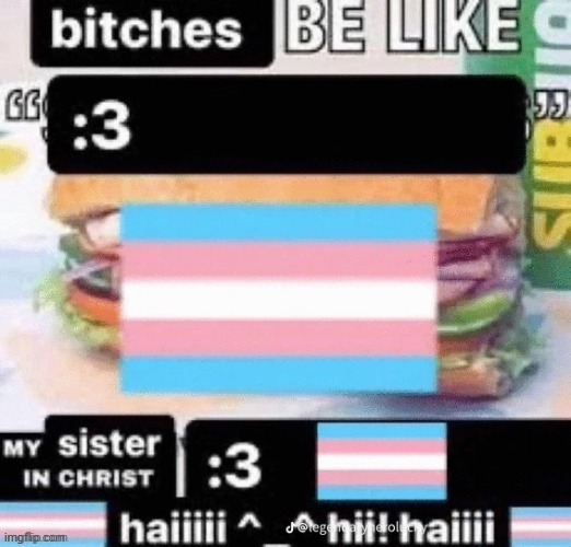 baughette (sorry about the slur) | image tagged in baughette | made w/ Imgflip meme maker