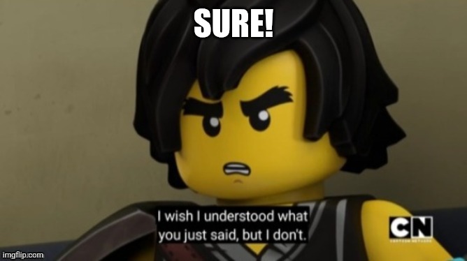 I wish I can understand what you just said, but I don't . | SURE! | image tagged in i wish i can understand what you just said but i don't | made w/ Imgflip meme maker
