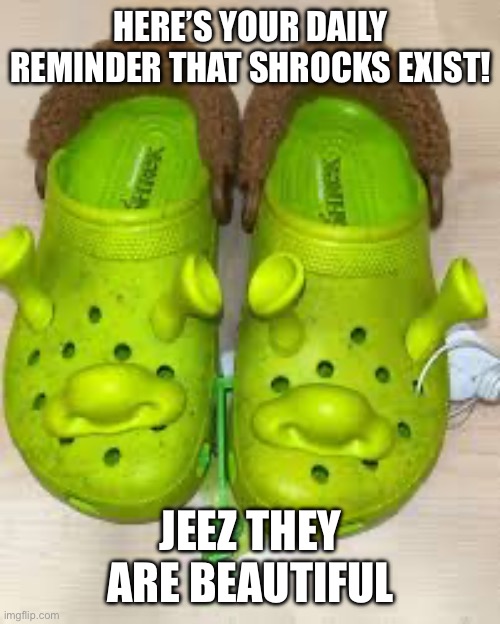 Shrocks | HERE’S YOUR DAILY REMINDER THAT SHROCKS EXIST! JEEZ THEY ARE BEAUTIFUL | image tagged in shrocks,shrek,crocs | made w/ Imgflip meme maker