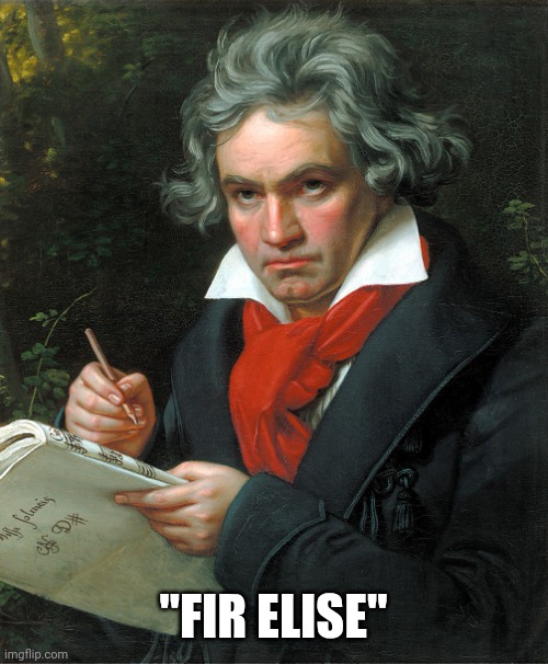 Beethoven  | "FIR ELISE" | image tagged in beethoven | made w/ Imgflip meme maker