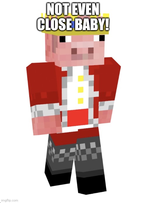 Technoblade | NOT EVEN CLOSE BABY! | image tagged in technoblade | made w/ Imgflip meme maker