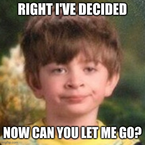 Annoyed face | RIGHT I'VE DECIDED NOW CAN YOU LET ME GO? | image tagged in annoyed face | made w/ Imgflip meme maker