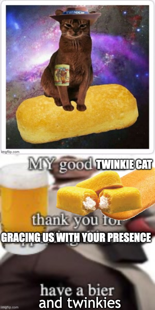 ALL HAIL TWINKIE CAT | TWINKIE CAT; GRACING US WITH YOUR PRESENCE; and twinkies | image tagged in all hail twinkie cat,have a bier | made w/ Imgflip meme maker