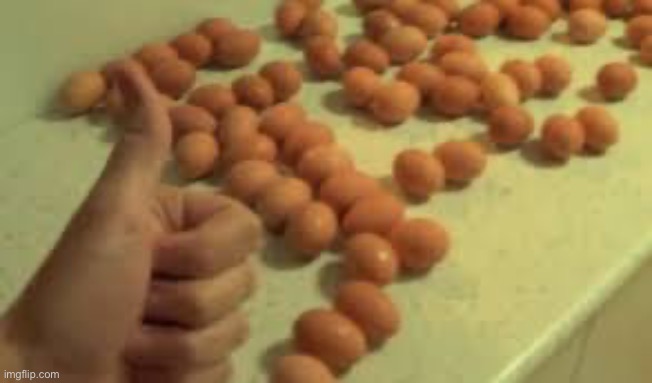 EGG | image tagged in egg | made w/ Imgflip meme maker