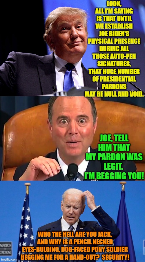 Dear Adam, giving 10% to a Big Guy dementia patient can have some drawbacks. | LOOK, ALL I'M SAYING IS THAT UNTIL WE ESTABLISH JOE BIDEN'S PHYSICAL PRESENCE DURING ALL THOSE AUTO-PEN SIGNATURES, THAT HUGE NUMBER OF PRESIDENTIAL PARDONS MAY BE NULL AND VOID. JOE, TELL HIM THAT MY PARDON WAS LEGIT.  I'M BEGGING YOU! WHO THE HELL ARE YOU JACK, AND WHY IS A PENCIL NECKED EYES-BULGING, DOG-FACED PONY SOLDIER BEGGING ME FOR A HAND-OUT?  SECURITY! | image tagged in yep | made w/ Imgflip meme maker