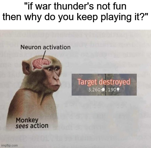 War Thunder | "if war thunder's not fun then why do you keep playing it?" | image tagged in monkey sees action | made w/ Imgflip meme maker