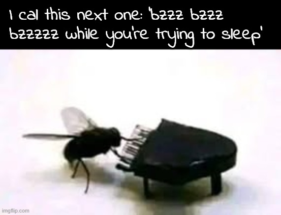 Summertime fun when bugz start being well... Bugs... Bugging me. | I cal this next one: 'bzzz bzzz bzzzzz while you're trying to sleep' | image tagged in memez,fly,bzzzz,op iz unfunny,do not upvote | made w/ Imgflip meme maker