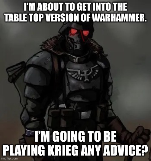 Krieg grenadier | I’M ABOUT TO GET INTO THE TABLE TOP VERSION OF WARHAMMER. I’M GOING TO BE PLAYING KRIEG ANY ADVICE? | image tagged in krieg grenadier | made w/ Imgflip meme maker