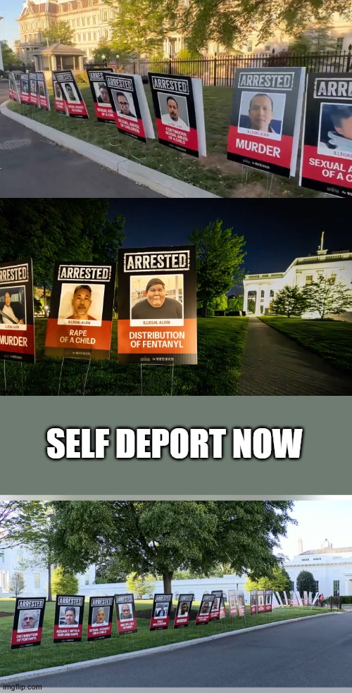 NO MAS | SELF DEPORT NOW | made w/ Imgflip meme maker