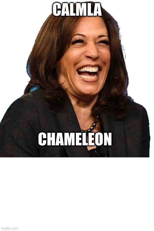 horrible | CALMLA; CHAMELEON | image tagged in stupid | made w/ Imgflip meme maker