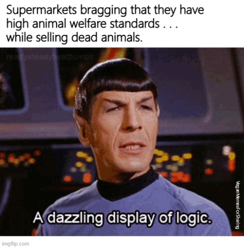 HUMANE SLAUGHTER DOES NOT EXIST | image tagged in vegan,veganism,bacon,fish,lamb,ham | made w/ Imgflip meme maker