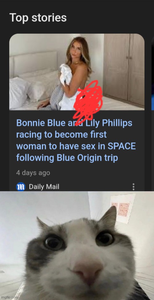 image tagged in cat looking inside | made w/ Imgflip meme maker