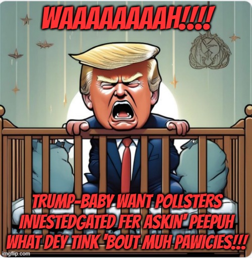 FSB tactic #X: when the public voices its disapproval in polls, threaten the pollsters. | WAAAAAAAAH!!!! TRUMP-BABY WANT POLLSTERS INVESTEDGATED FER ASKIN' PEEPUH WHAT DEY TINK 'BOUT MUH PAWICIES!!! | image tagged in trump unfit unqualified dangerous,wannabe,dictator,crybaby | made w/ Imgflip meme maker