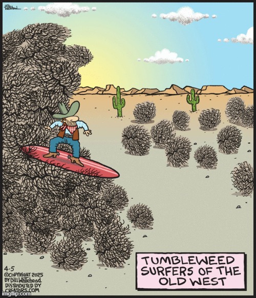 Free Range | image tagged in comics | made w/ Imgflip meme maker