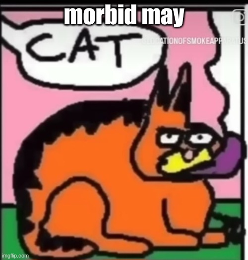 CAT | morbid may | image tagged in cat | made w/ Imgflip meme maker