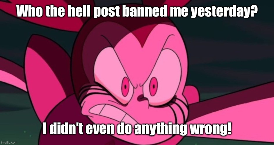 Hair bit pissed at that. | Who the hell post banned me yesterday? I didn’t even do anything wrong! | image tagged in mad spinel | made w/ Imgflip meme maker