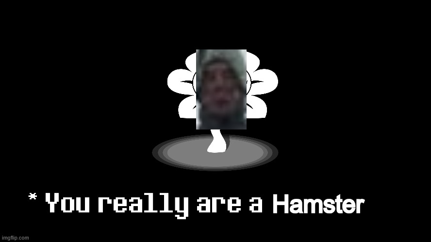 Hamster | made w/ Imgflip meme maker