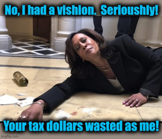 drunk kamala | No, I had a vishion.  Serioushly! Your tax dollars wasted as me! | image tagged in drunk kamala | made w/ Imgflip meme maker