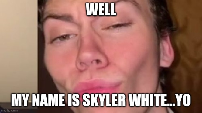 Well my name is skyler white yo | WELL MY NAME IS SKYLER WHITE...YO | image tagged in well my name is skyler white yo | made w/ Imgflip meme maker